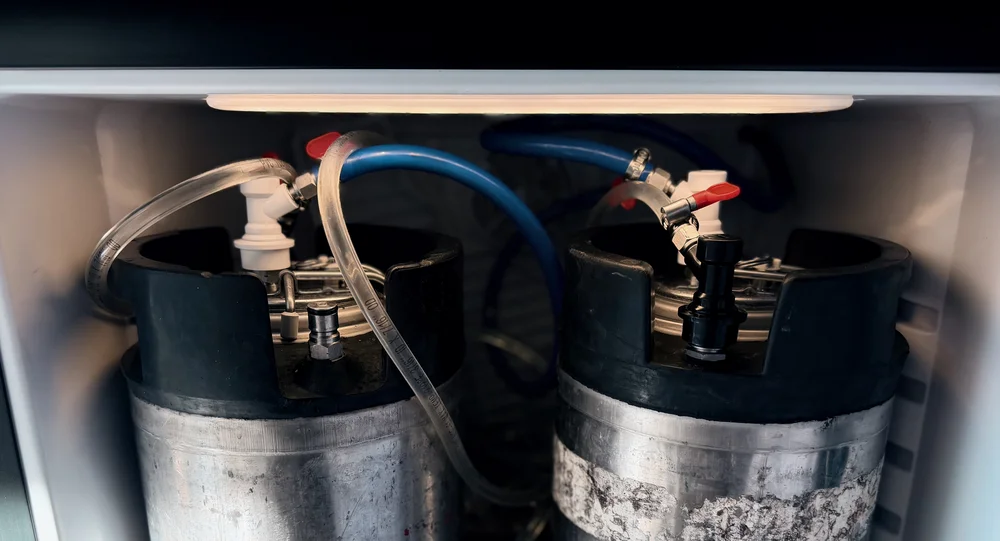 Two kegs inside the kegerator